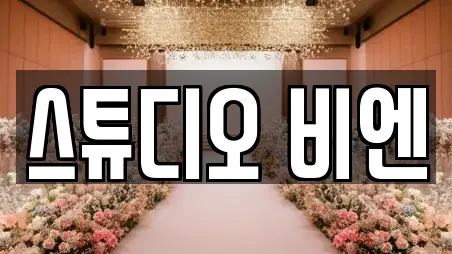 스튜디오 비엔