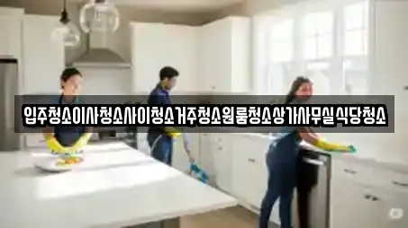 입주청소이사청소사이청소거주청소원룸청소상가사무실식당청소