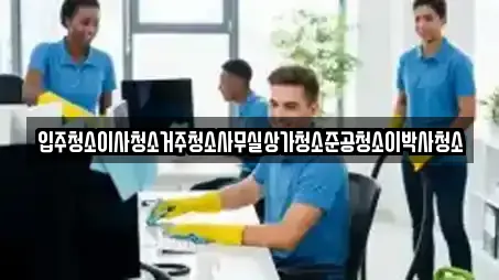 입주청소 업체 비교 11건 in 충청북도 청주 흥덕구 동막동