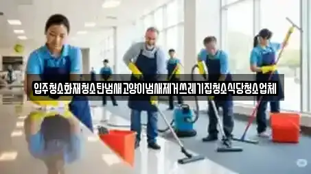 5 추천 청소업체 감호동 지도