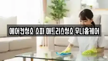 강문동 청소업체 추천 업체 TOP 9