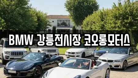 강원특별자치도 강릉시 교동 내 자동차전시장 검색 결과 11건