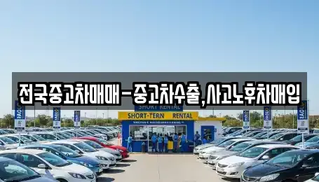 강원 강릉시 남문동 주변 중고차 전문업체 11곳