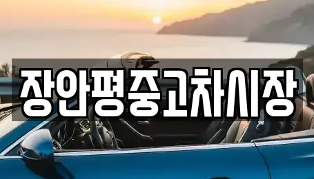 장안평중고차시장