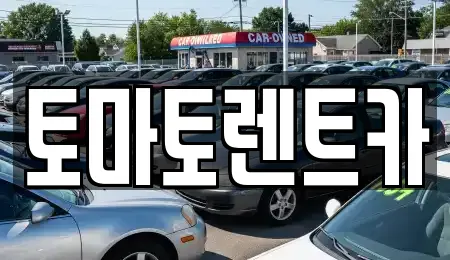 토마토렌트카