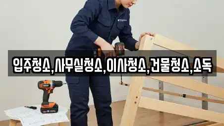 입주청소,사무실청소,이사청소,건물청소,소독