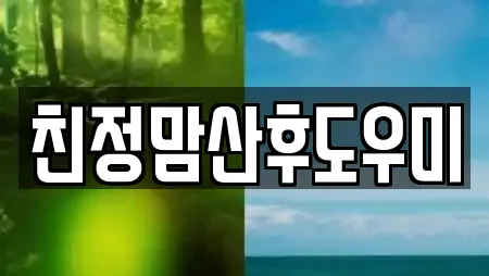 친정맘산후도우미