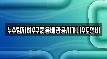 누수탐지하수구뚫음배관공사가나수도설비