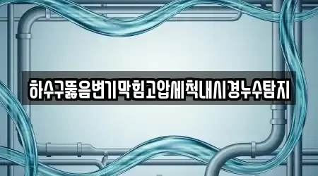 하수구뚫음변기막힘고압세척내시경누수탐지