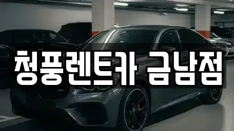 금남면 추천 렌트카,장기렌트카,자동차전시장 업체 11 위치정보