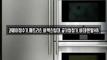 비데렌탈 18곳 제공 (노암동)
