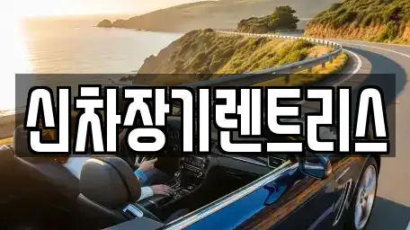 대구광역시 중구 수동 근처 자동차전시장 전문업체 4곳