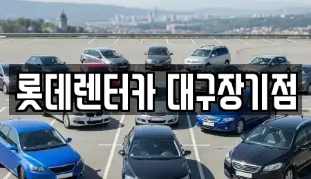 대구 효목동 근처 자동차전시장 전문업체 7곳