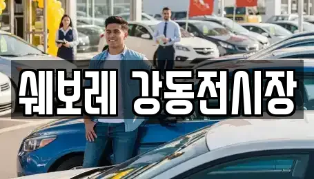 자동차전시장 상세 검색 15곳 (둔촌동)