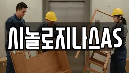 시놀로지나스AS