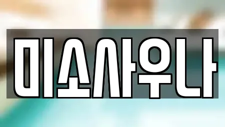 서울 종로구 교남동 추천 스파,사우나,찜질방,수영장,마사지 위치