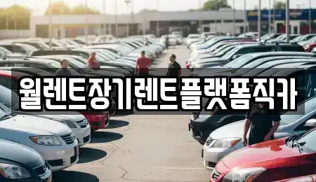 서울 중구 초동 인근 장기렌트카,중고차,렌트카 9업체
