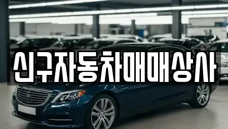 울산광역시 신정동 중고차,자동차전시장,렌트카,장기렌트카 전문 17