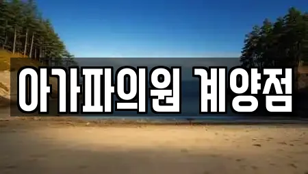 피부과 업체 14건 조회 (인천 목상동)