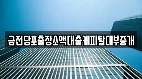 금전당포출장소액대출캐피탈대부중개