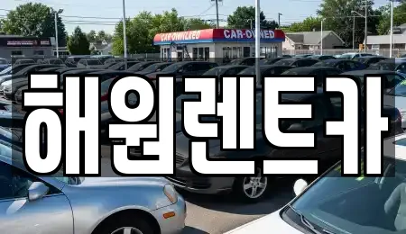 전북특별자치도 금마면 렌트카 업체 비교 7곳
