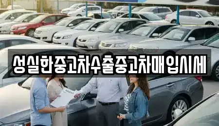 전주시 완산구 동서학동 근처 중고차,장기렌트카,렌트카 5업체