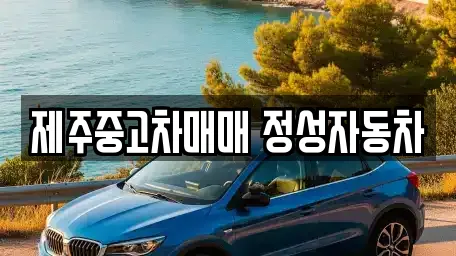 중고차 전문 12곳 (제주)