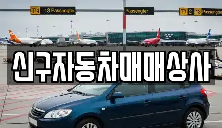 신구자동차매매상사