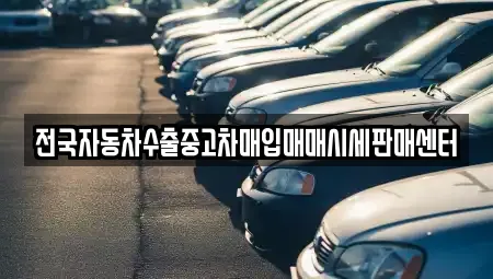 충남 보령 오천면 추천 장기렌트카,자동차전시장,중고차 업체검색