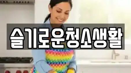 슬기로운청소생활