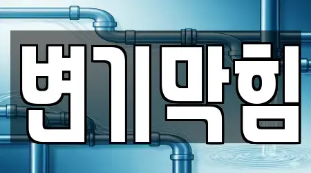 변기막힘