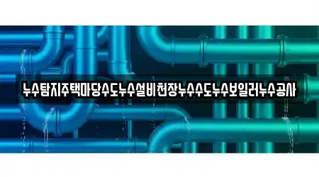 누수탐지주택마당수도누수설비천장누수수도누수보일러누수공사