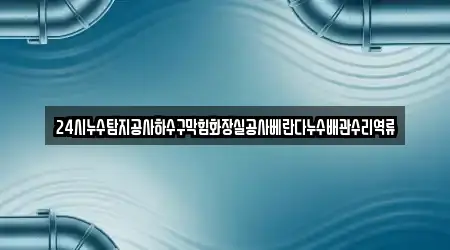 24시누수탐지공사하수구막힘화장실공사베란다누수배관수리역류