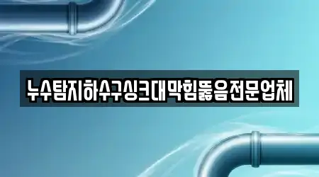 누수탐지하수구싱크대막힘뚫음전문업체