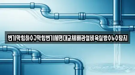 변기막힘하수구막힘변기세면대교체배관설비욕실방수누수탐지