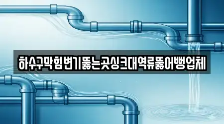 하수구막힘변기뚫는곳싱크대역류뚫어뻥업체