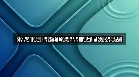 하수구변기싱크대막힘뚫음옥상방수누수페인트시공정화조뚜껑교체