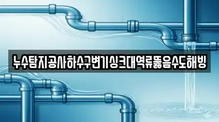 진주 수곡면 싱크대뚫음,변기뚫음,하수구뚫음,누수,하수구막힘 리스트 확인 4곳