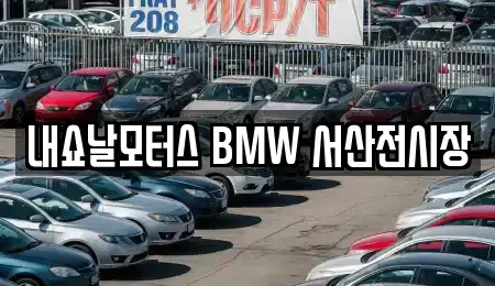 충남 서산시 석남동 자동차전시장 인기 업체 10곳