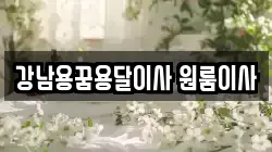 강남용꿈용달이사 원룸이사