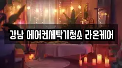 강남 에어컨세탁기청소 라온케어