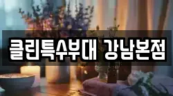 클린특수부대 강남본점