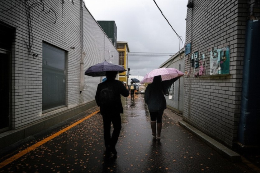 기사 관련 이미지