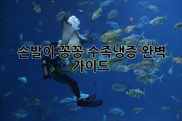 손발이 꽁꽁! 수족냉증 완벽 가이드