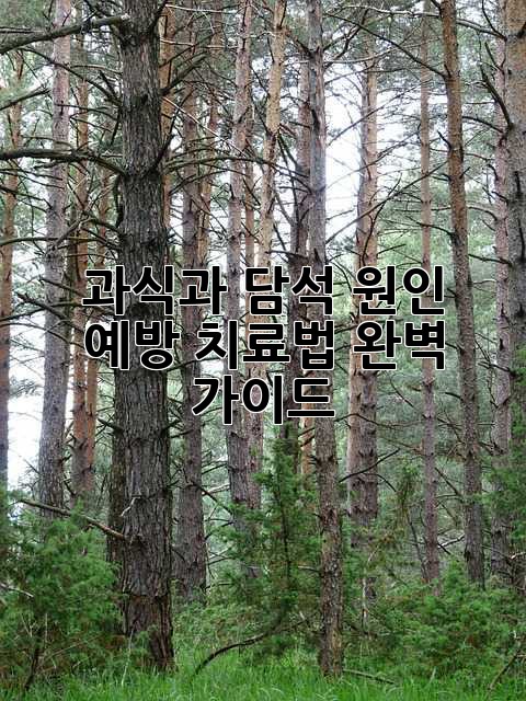 과식과 담석: 원인, 예방, 치료법 완벽 가이드