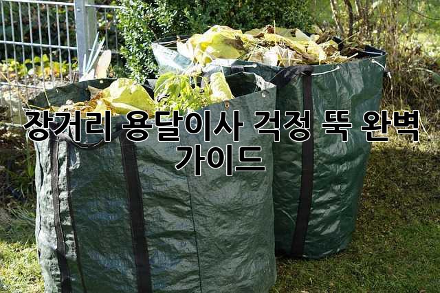 장거리 용달이사, 걱정 뚝! 완벽 가이드