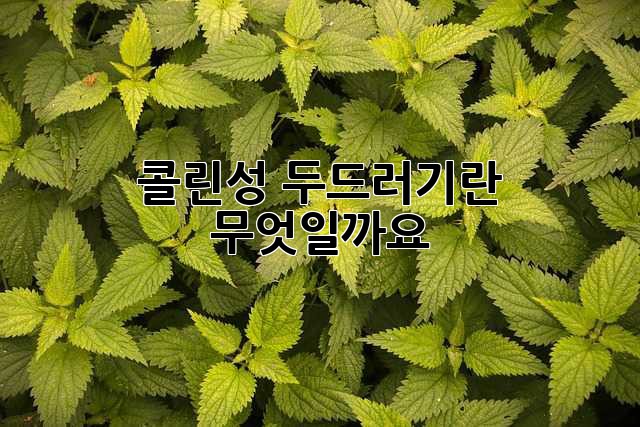 콜린성 두드러기란 무엇일까요?