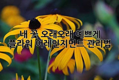 내 꽃, 오래오래 예쁘게 ✨ 플라워 어레인지먼트 관리법