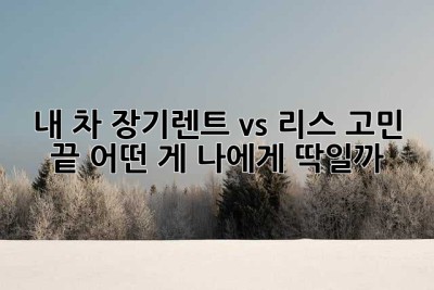 내 차? 장기렌트 vs 리스, 고민 끝! 어떤 게 나에게 딱일까?