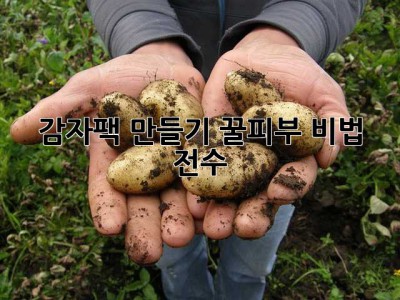 감자팩 만들기: 꿀피부 비법 전수! ✨